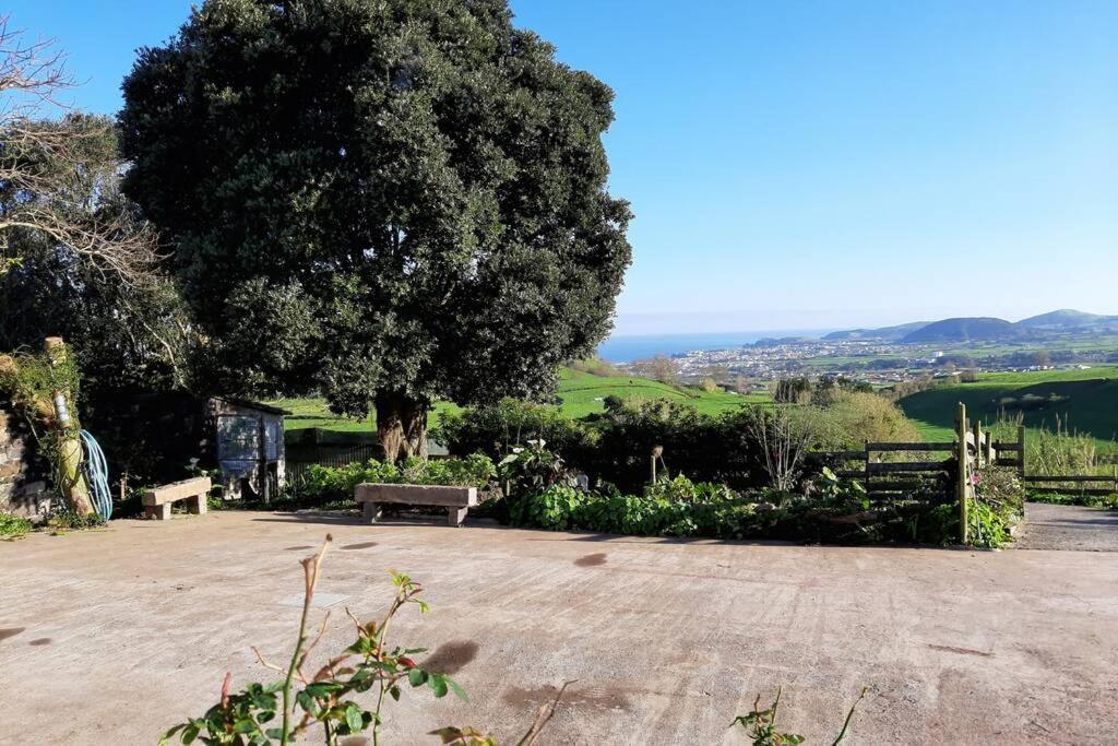 Casa Da Mediana Διαμέρισμα Ribeira Grande Εξωτερικό φωτογραφία